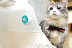 VentiFresh Odor Eliminator and Air Purifier